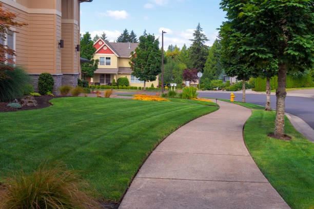 Top Concrete Contractors Near Me for Sidewalk and Walkway Repairs