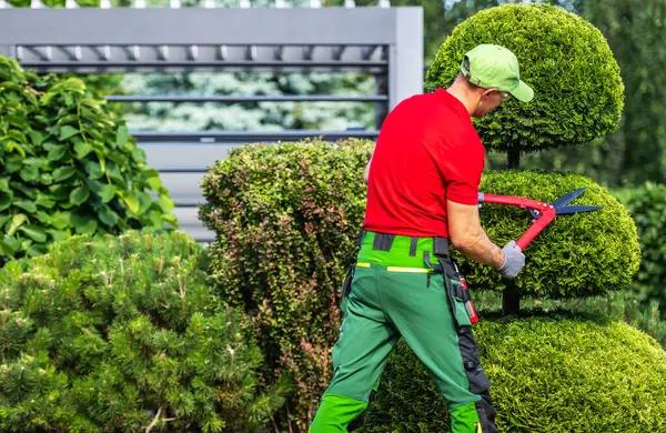 Reliable Landscaping Services in Casselberry Get a Free Quote