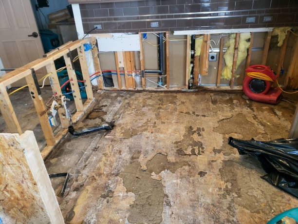 Expert water damage restoration azle Specialists Available 24/7