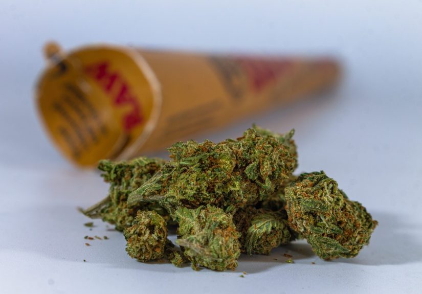 Your Essential Resource for Wiet Kopen and Premium Cannabis Choices