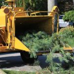 Tree Removal Service Mobile to Improve Curb Appeal